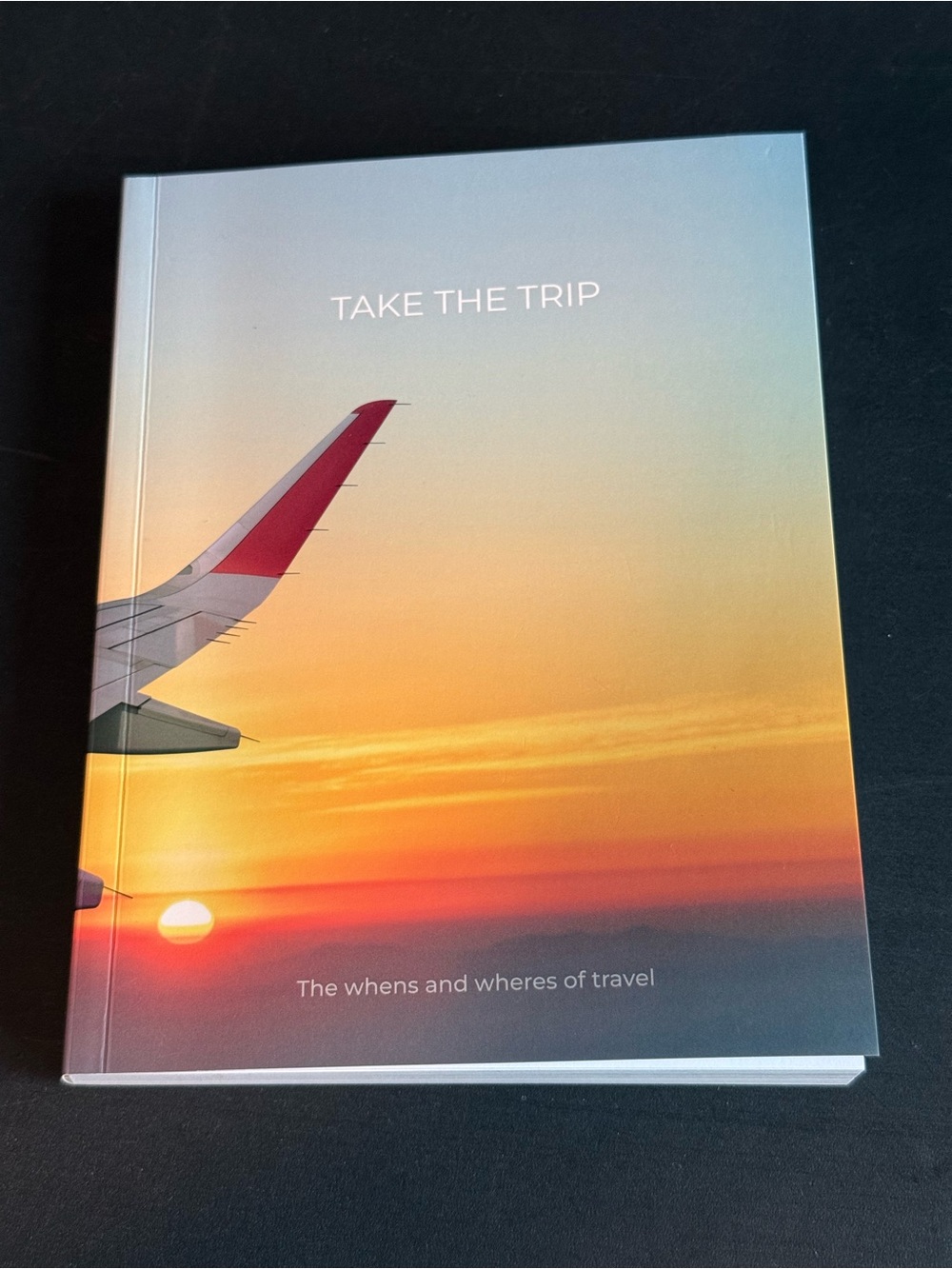 Take the Trip: The Whens and Wheres of Travel Book- New